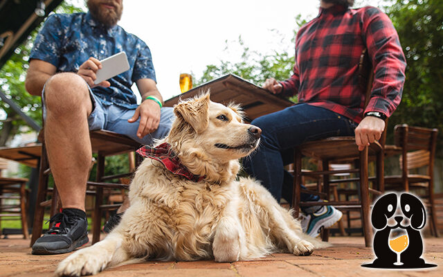 Yappy Hour – Where Furrends Gather